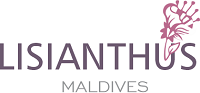 Lisanthus Maldives Logo
