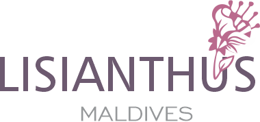 Lisianthus Maldives | your gateway to Maldives Holidays
